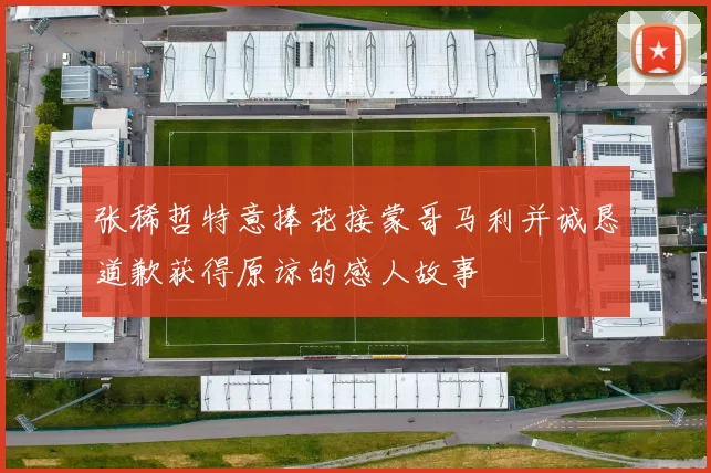张稀哲特意捧花接蒙哥马利并诚恳道歉获得原谅的感人故事