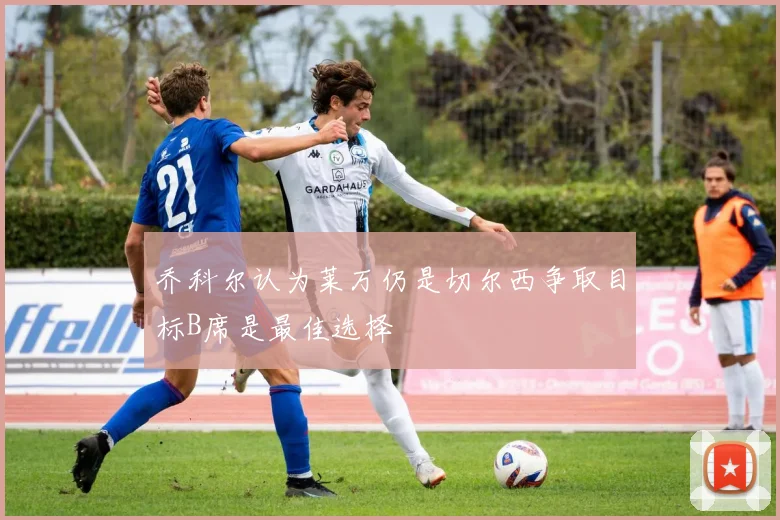 乔科尔认为莱万仍是切尔西争取目标B席是最佳选择